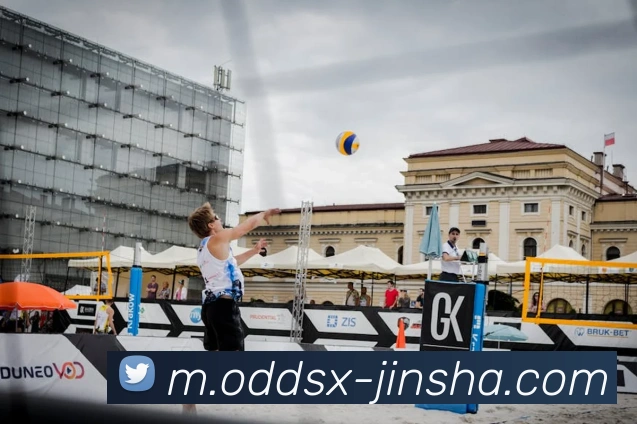 App Interface Preview